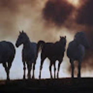 Meet your Posher, Omar